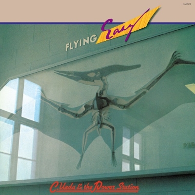 Flying Easy (LP Vinyl)